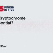 Is Cryptochrome Essential for Increased Sleep in Response to Blue Light in Drosophila melanogaster? - Gauri Paul